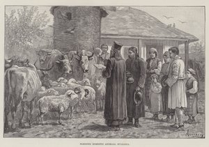 Blessing Domestic Animals, Bulgaria
